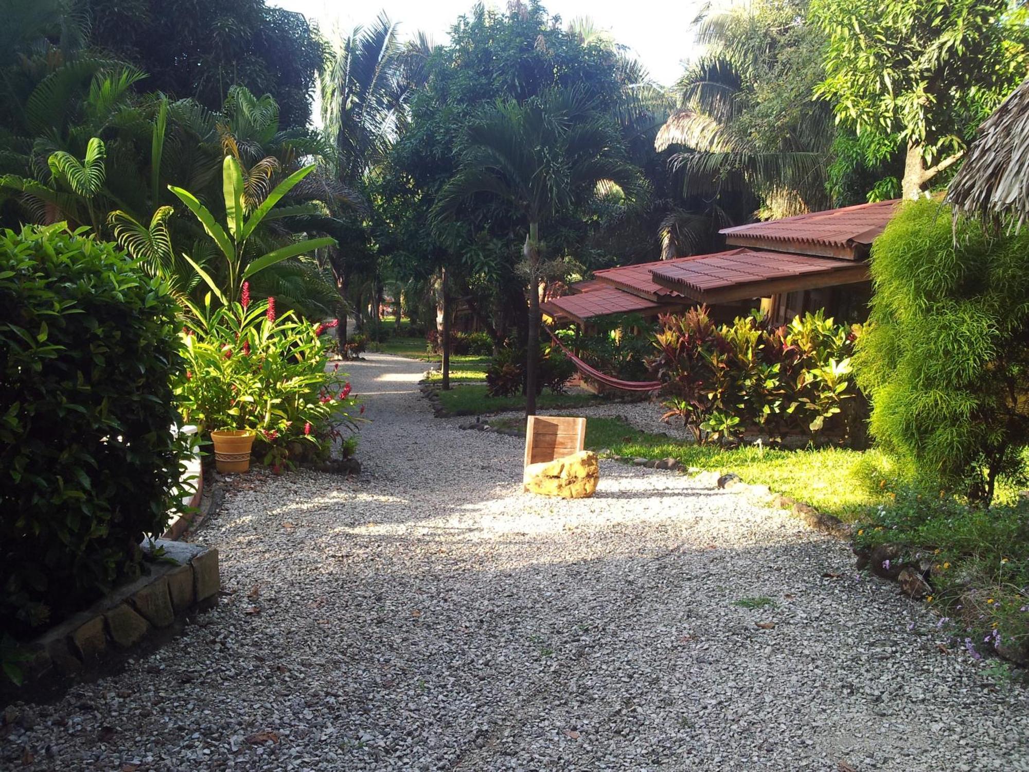 Esencia Hotel And Villas Playa Santa Teresa  Exterior photo