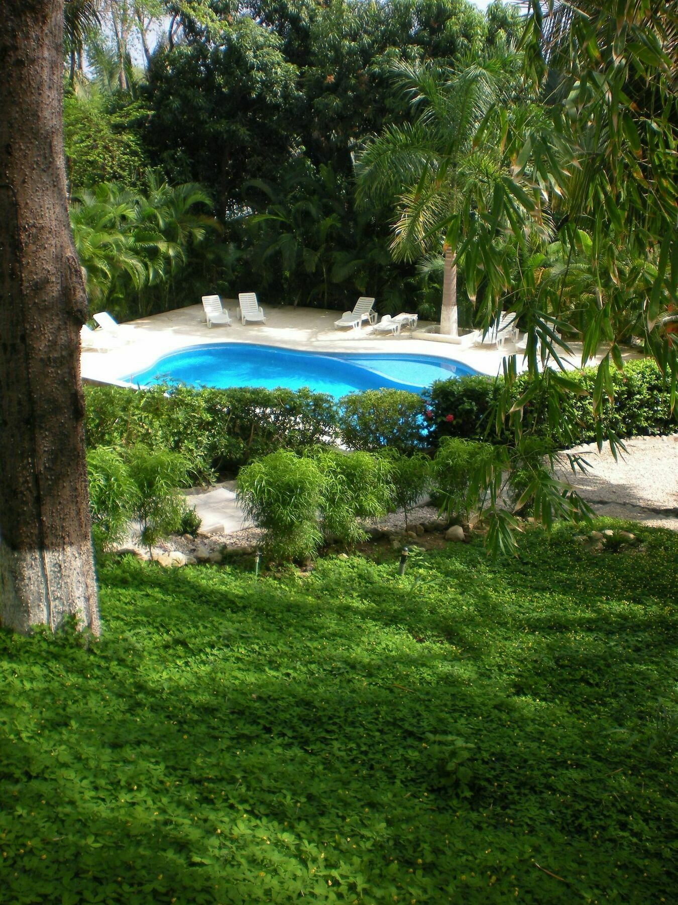 Esencia Hotel And Villas Playa Santa Teresa  Exterior photo
