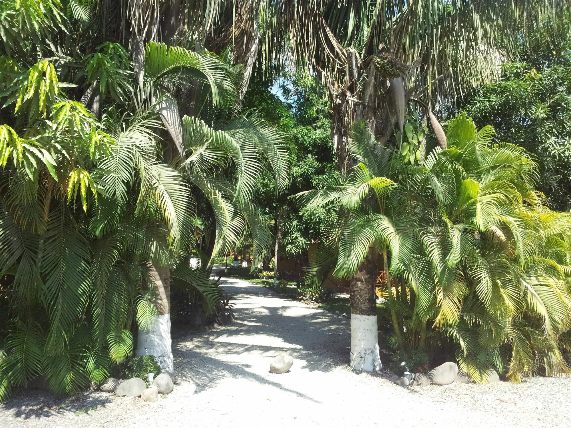 Esencia Hotel And Villas Playa Santa Teresa  Exterior photo
